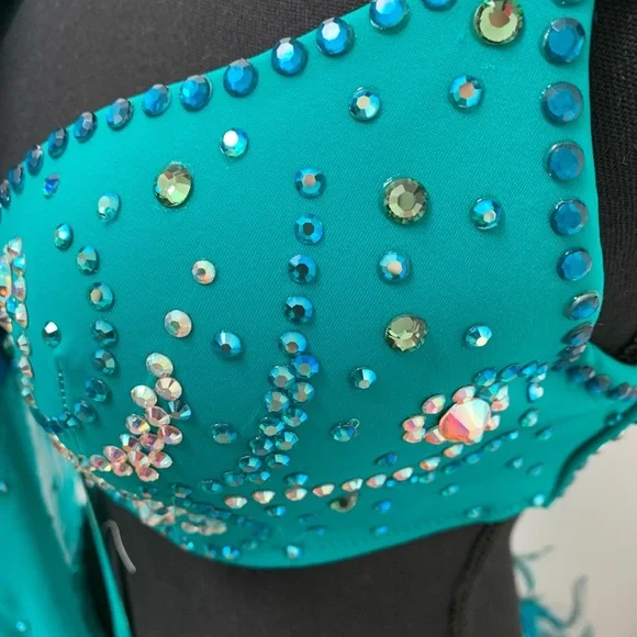 NWOT amazing Latin Ballroom Competition dress - Picture 4 of 11